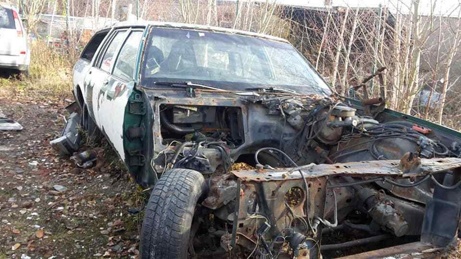 23844497-699830596886955-6966357754378645380-n