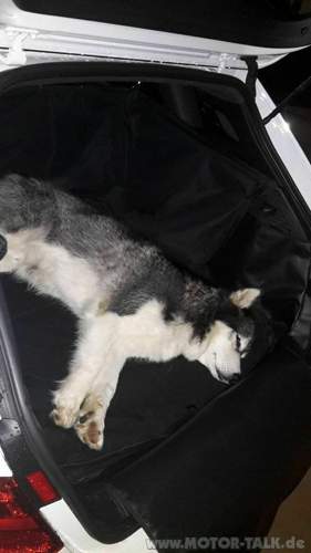 14522731-1179326472147739-3815316511618511966-n