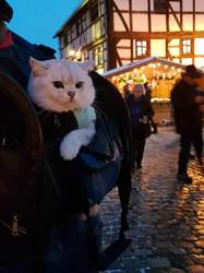 20171203-165138-kopie