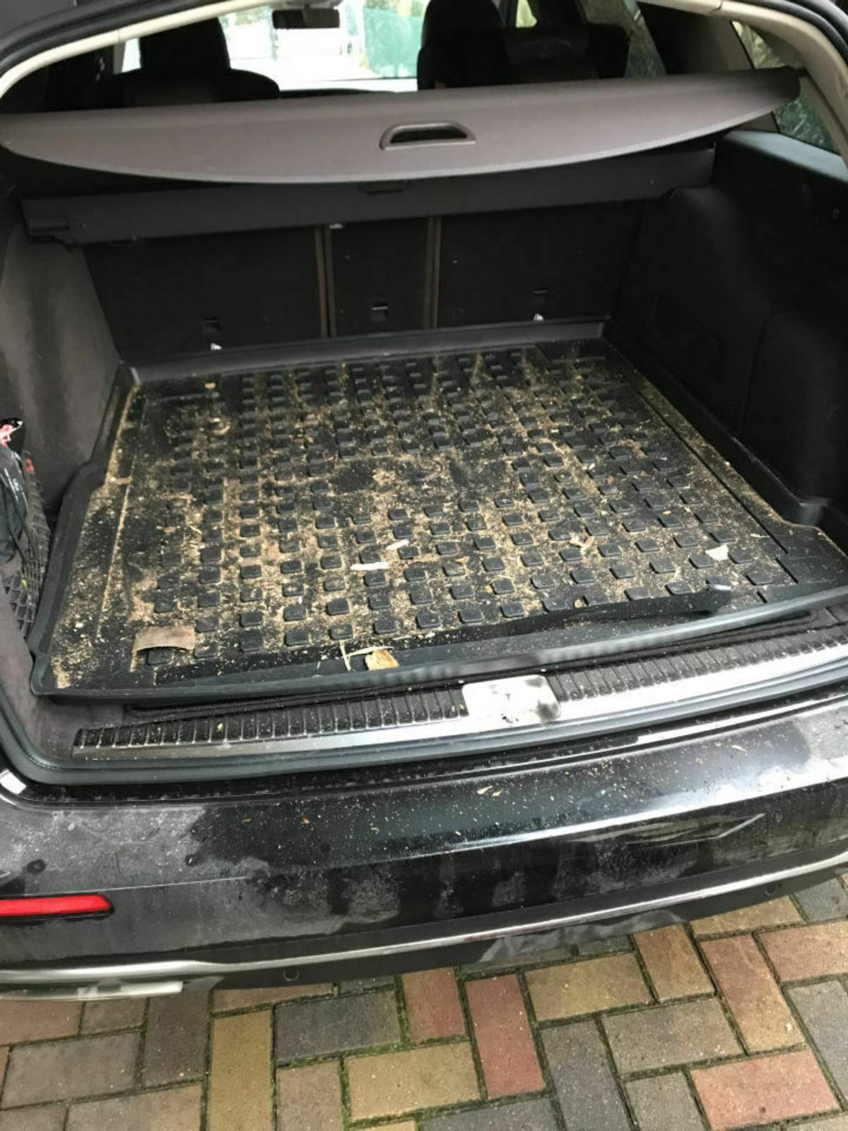 ad125ad5-b25a-42b0-a9db-d8c3590f374c