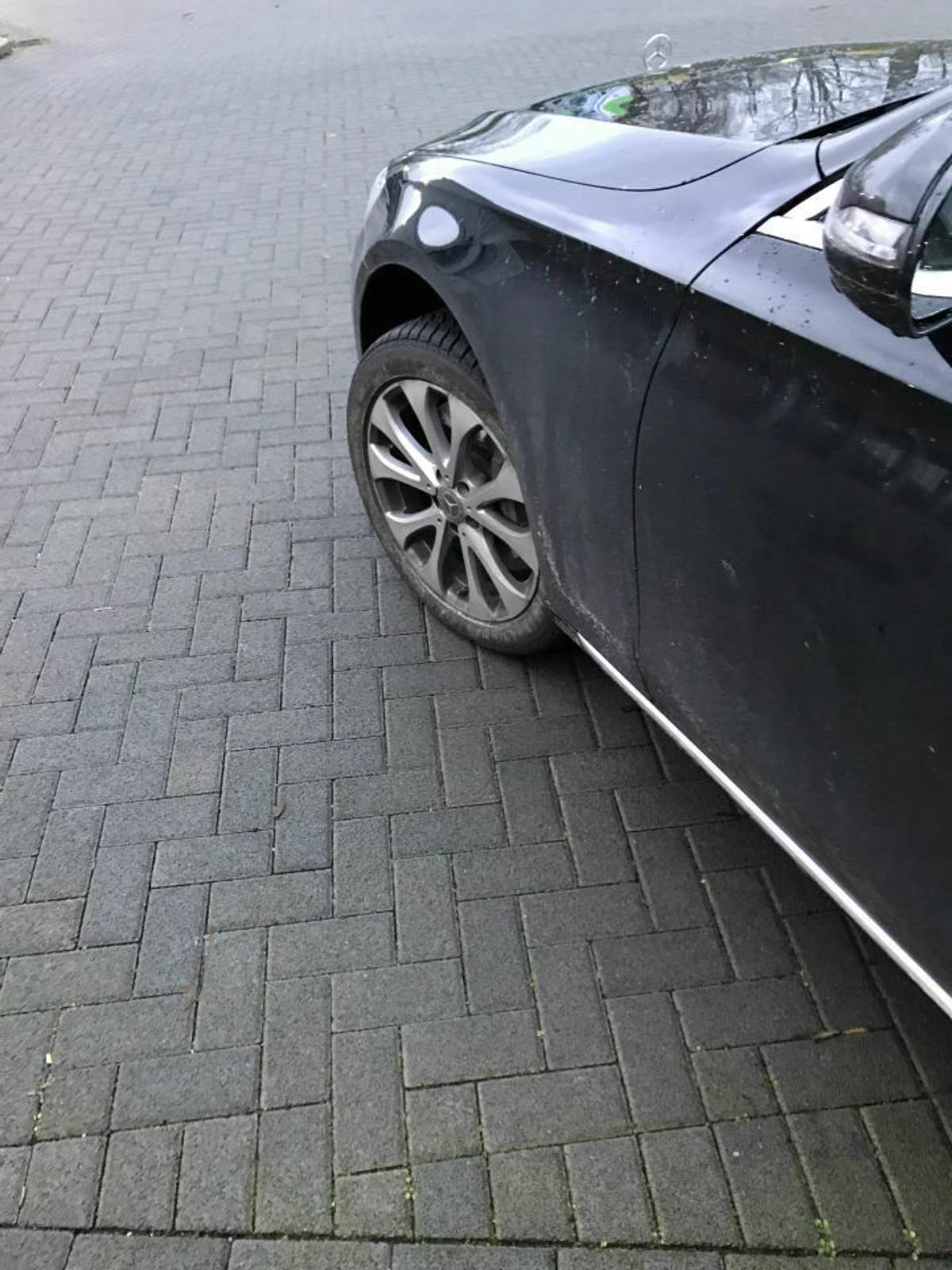 f75e95ac-9366-44da-9d77-6aa447e1cec3