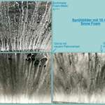 Schaumbilder mit 15 ml