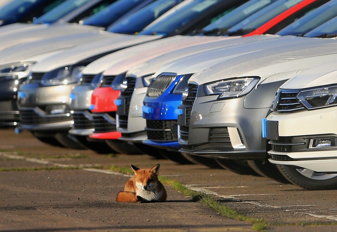 Großbritannien negativer Ausreißer