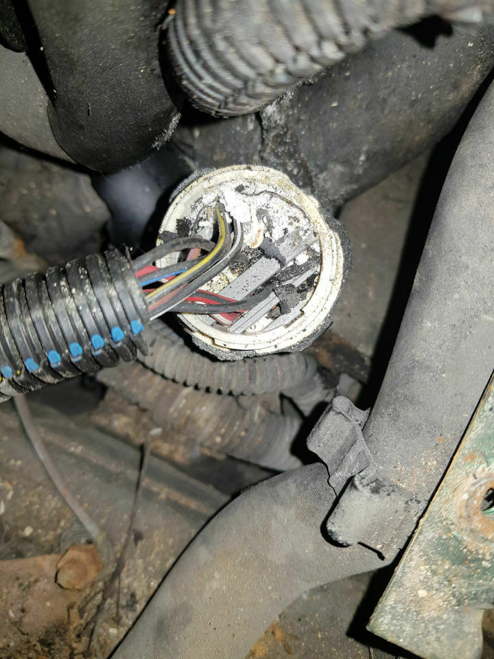 X25XE Automatik Motor stirbt ab beim Einlegen von D oder R