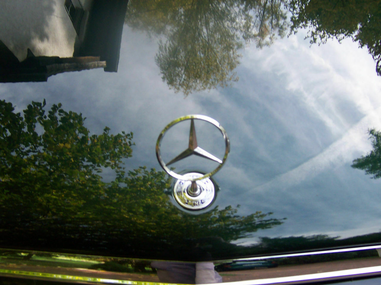 Wieviel km hat euer W212 schon?