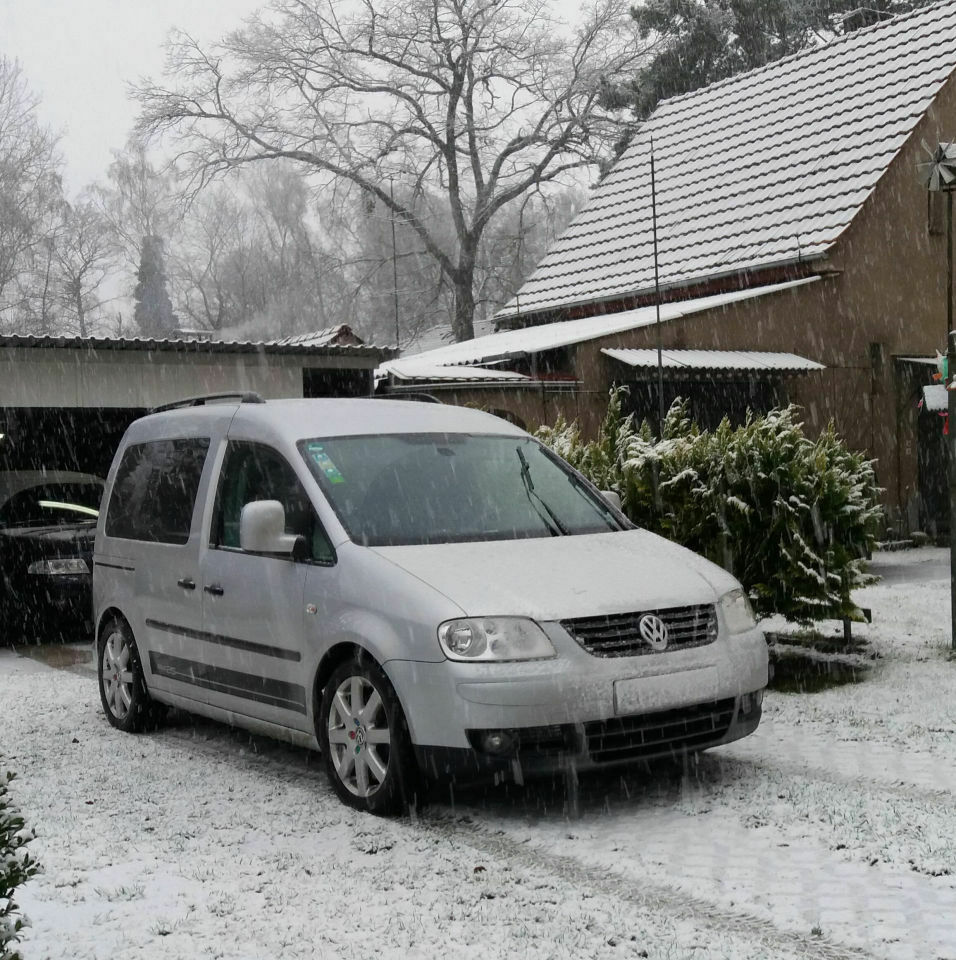 Die schönsten Caddybilder