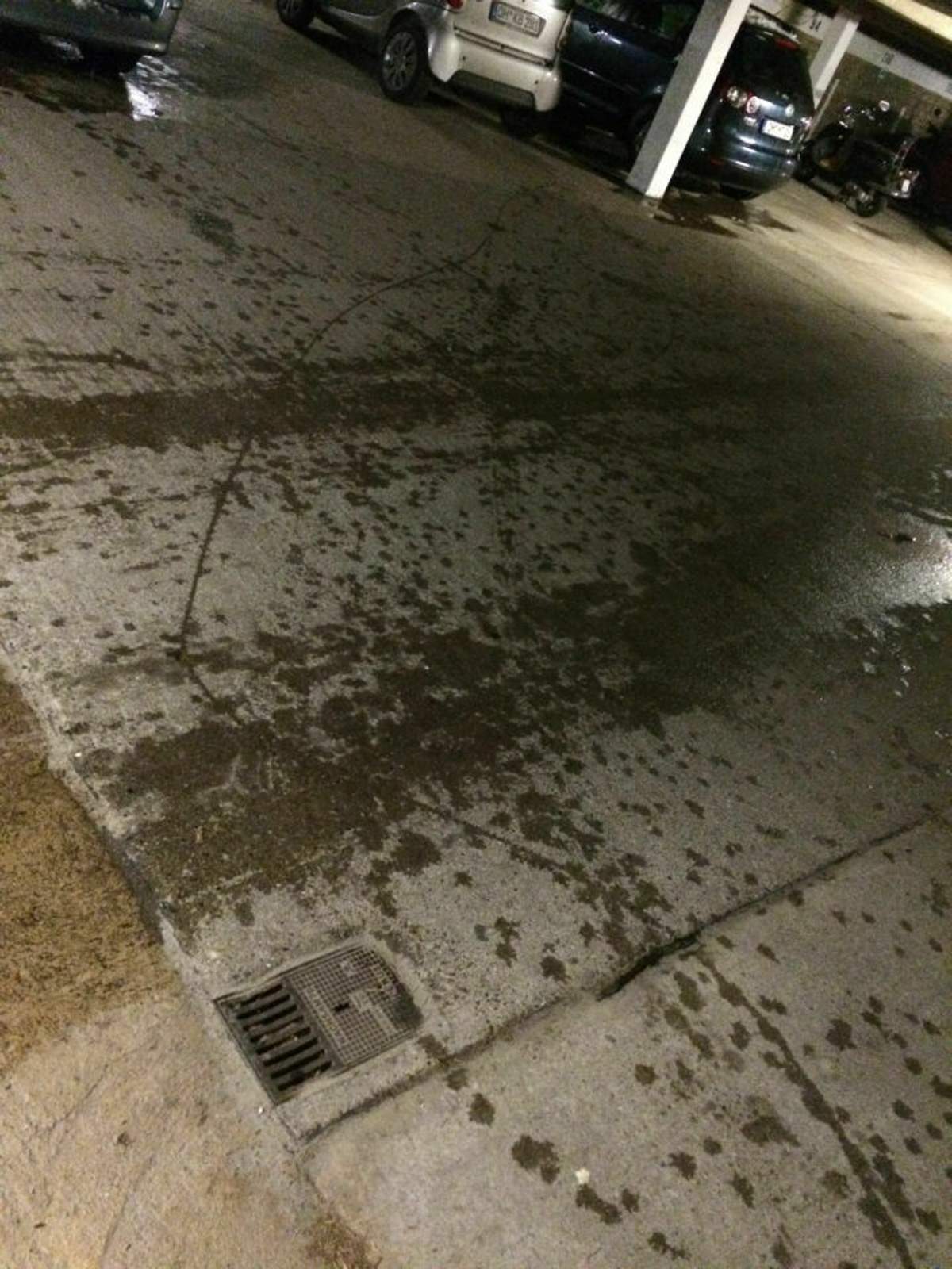 e7329abc-c90e-4594-bd67-18686f796254