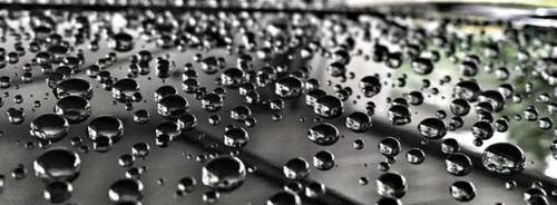 SONAX Profiline Polymer Netshield