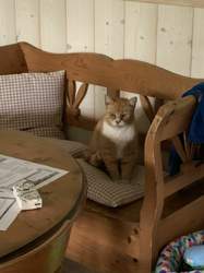 Cc488039-38ef-48cc-bb0a-d1a3460d02d3