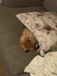 9ee5f477-a907-449d-861e-d8217d816c62