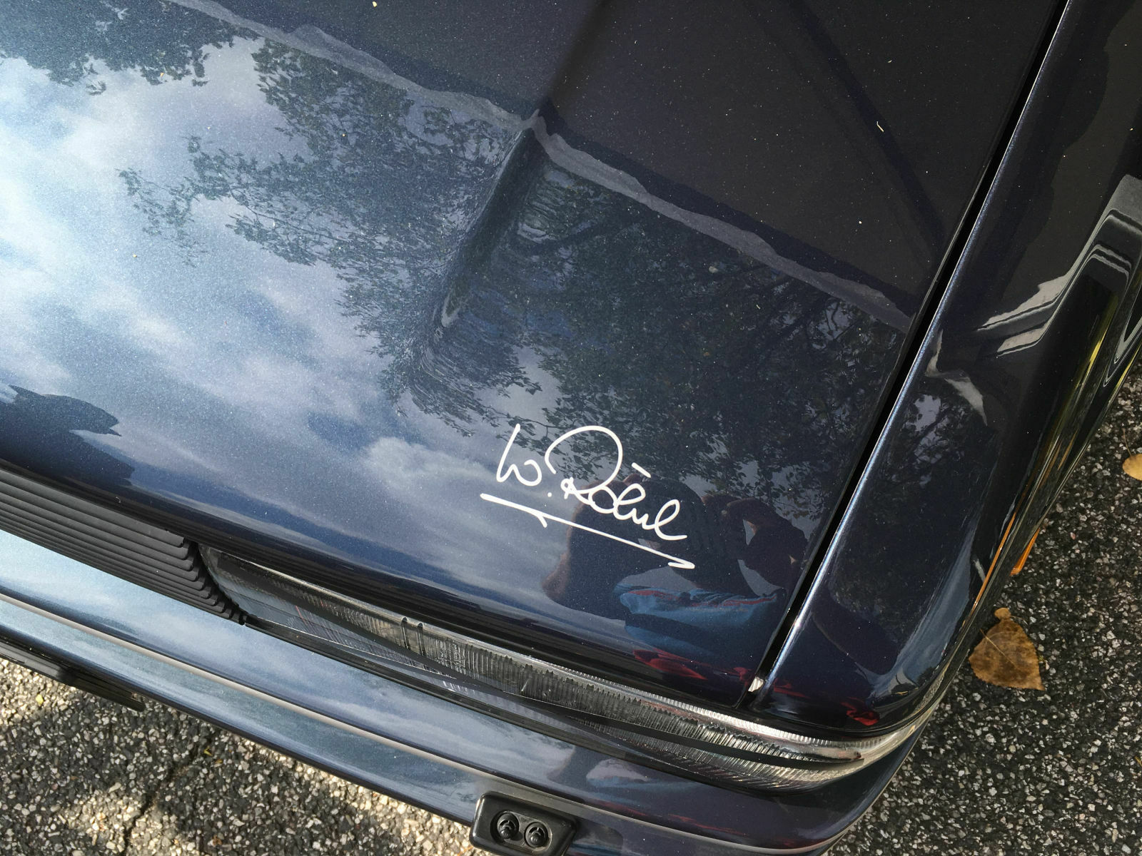 a2d31549-61ed-481f-9778-8356fb6d95cb