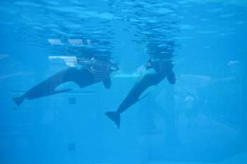 A07d248e-a1bb-4b8b-ba15-3511868d9440