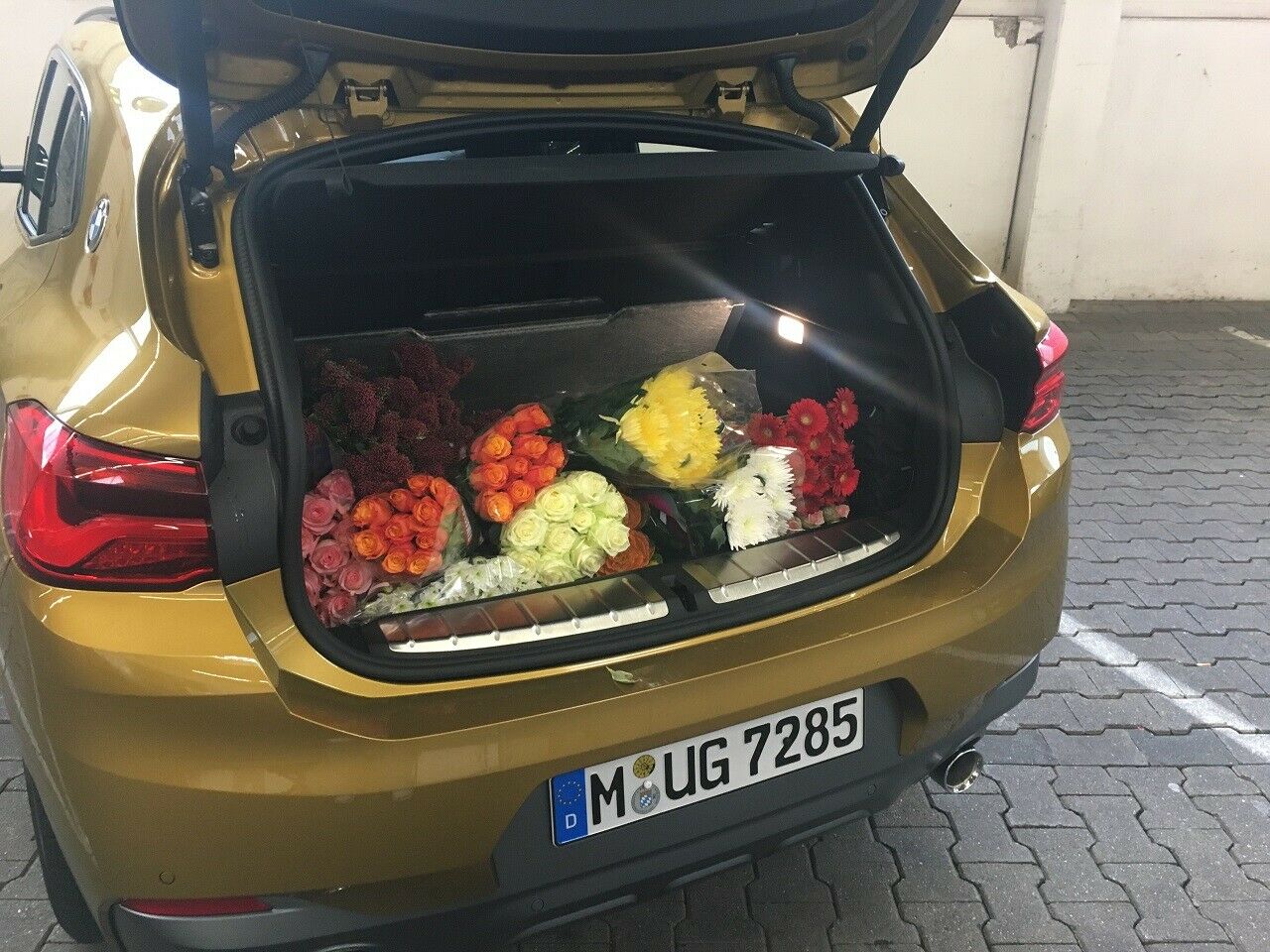 Statt immer nur Milchkartons: Marcel testet die Ladekapazit&auml;t mit Blumen