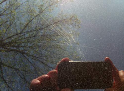 Img-20180420-110618-2