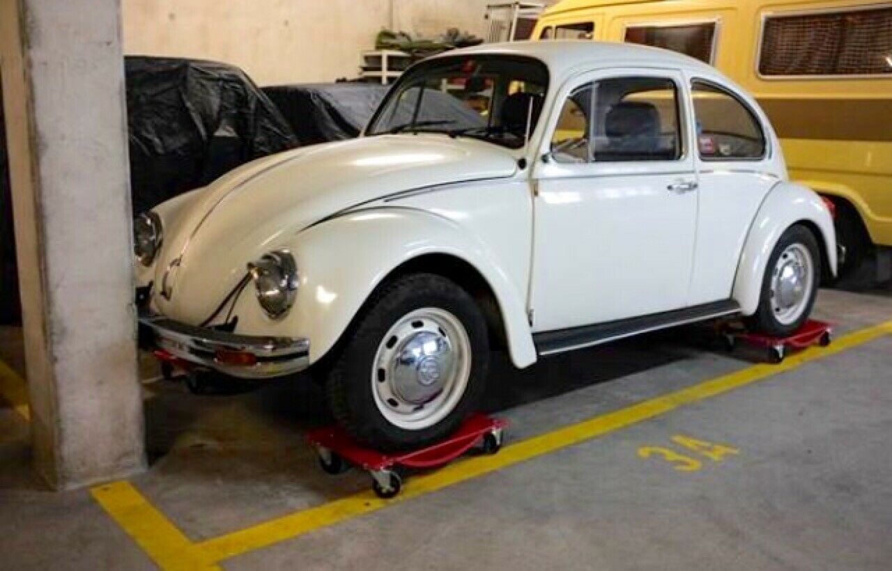 Wie erkenne ich einen Mexiko-Käfer?