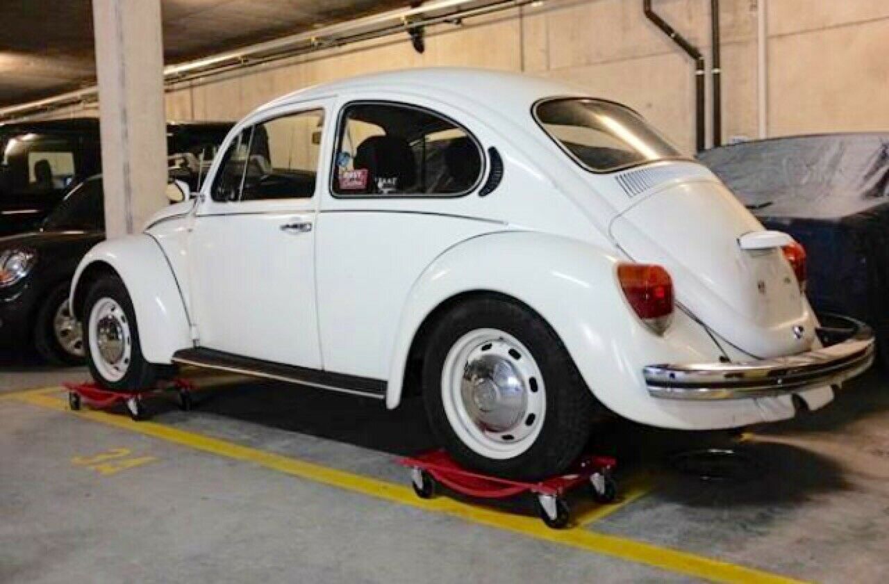 Wie erkenne ich einen Mexiko-Käfer?