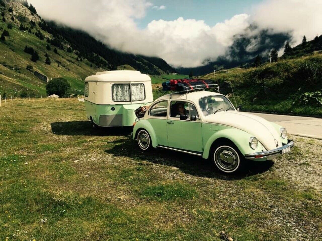 Wie erkenne ich einen Mexiko-Käfer?