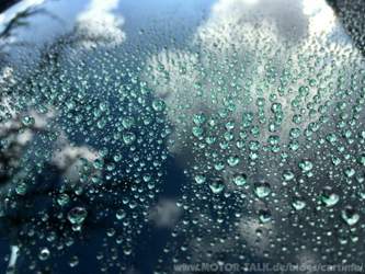 Detailbild - Glaco Roll On