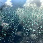 Detailbild Glaco Roll On