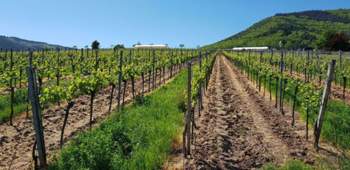 Photo-2018-05-06-17-27-24