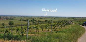 Photo-2018-05-06-17-43-35