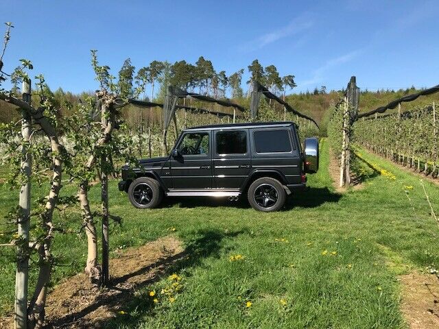 W463 G500 MJ 2016 Sidepipes