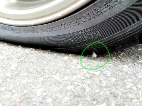 Img-20180512-123318-207