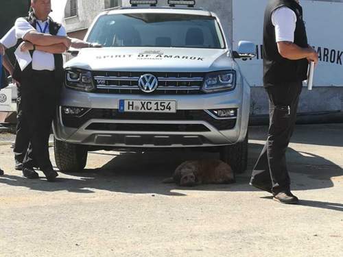 Team Schlick slickers  reiste mit Hund an