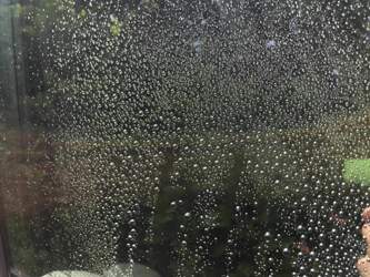 Glaco Ultra - Seitenscheiben