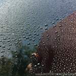 Seitenscheibe Glaco Roll On