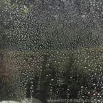 Heckscheibe Glaco Roll On Large