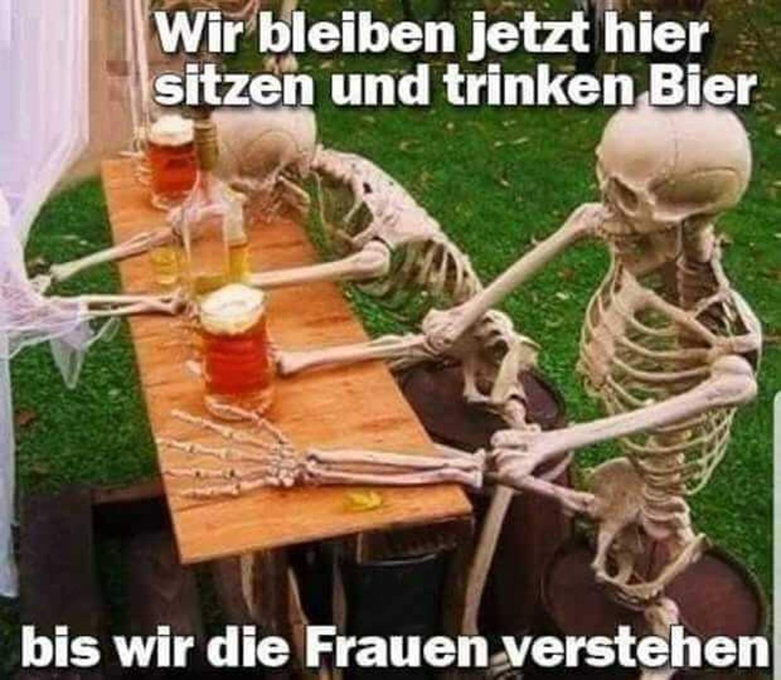 4fe12132-8687-45e6-8fcf-3d30a4f97b8c