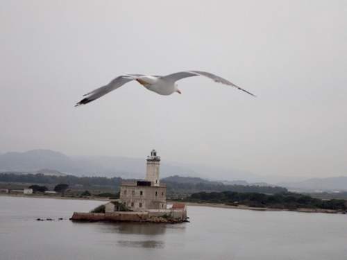 Geleit in den Zielhafen.jpg