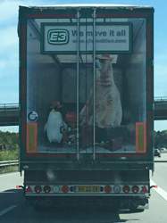 664c599c-15cc-47ef-b528-d6edd92115b6