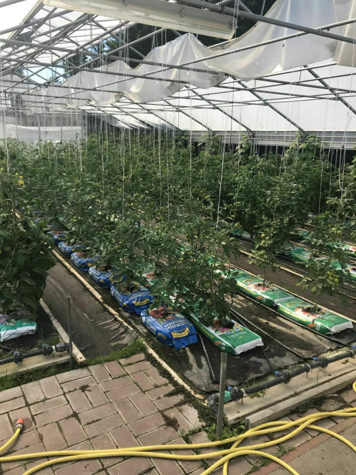 b7ac2555-ef10-4fa9-b01f-f0e1fa41a61d