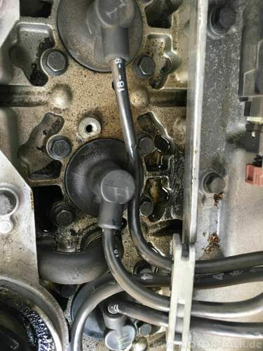 31a5127e-95ab-4f4e-853a-1ea34ae96fc3