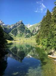 0d311334-6657-4908-a154-1f30e7088c05