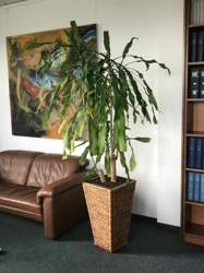 A983db9d-2c00-4d16-a0a3-f9a21a2b7cf1