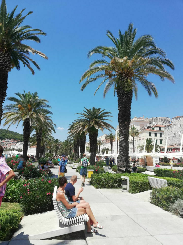 Der große A6 4F Community-Thread