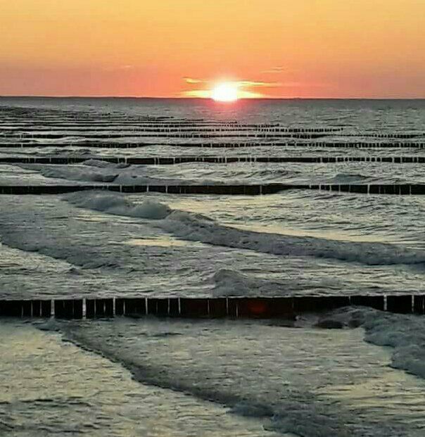 Der Schrottplatz - Spiegelsymmetrisch des Showrooms