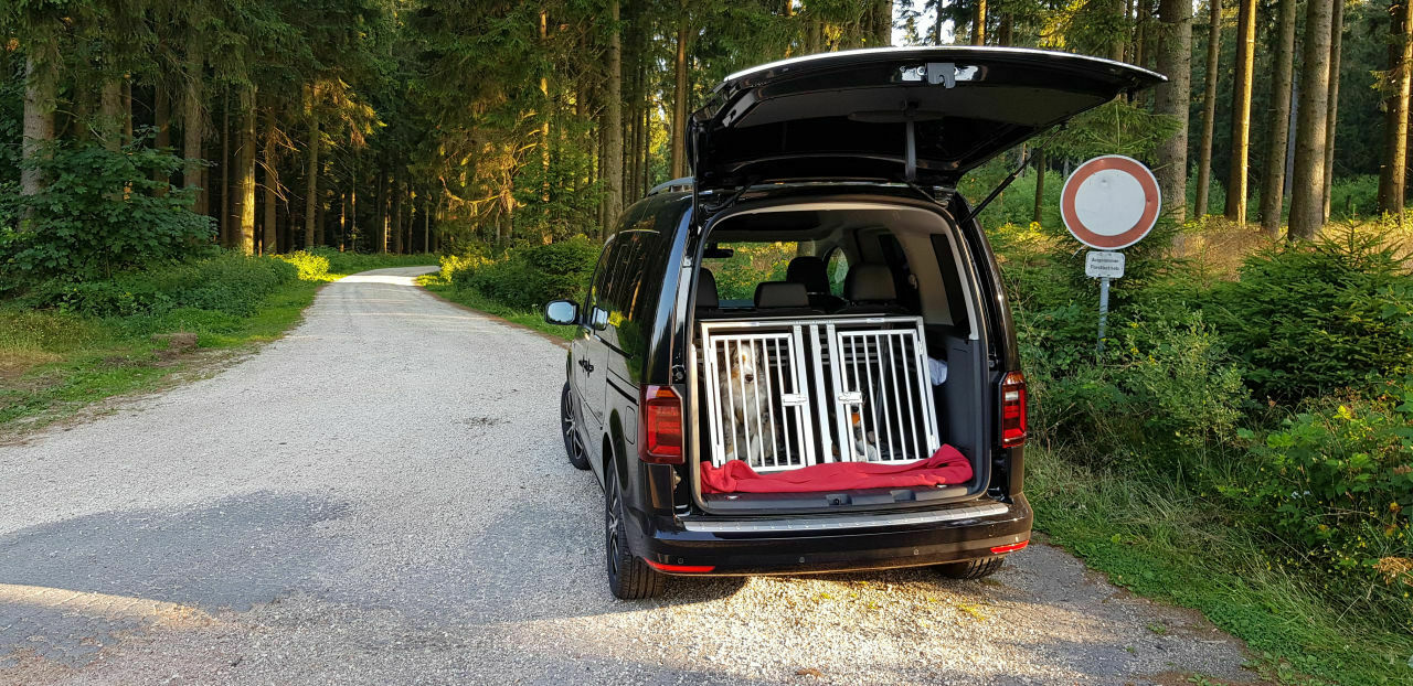 Die schönsten Caddybilder