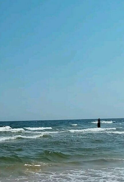 Der Schrottplatz - Spiegelsymmetrisch des Showrooms