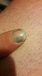 1535056560413-2018625449