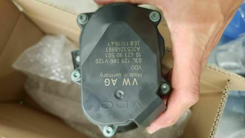 Motor der alten Saugrohrklappe