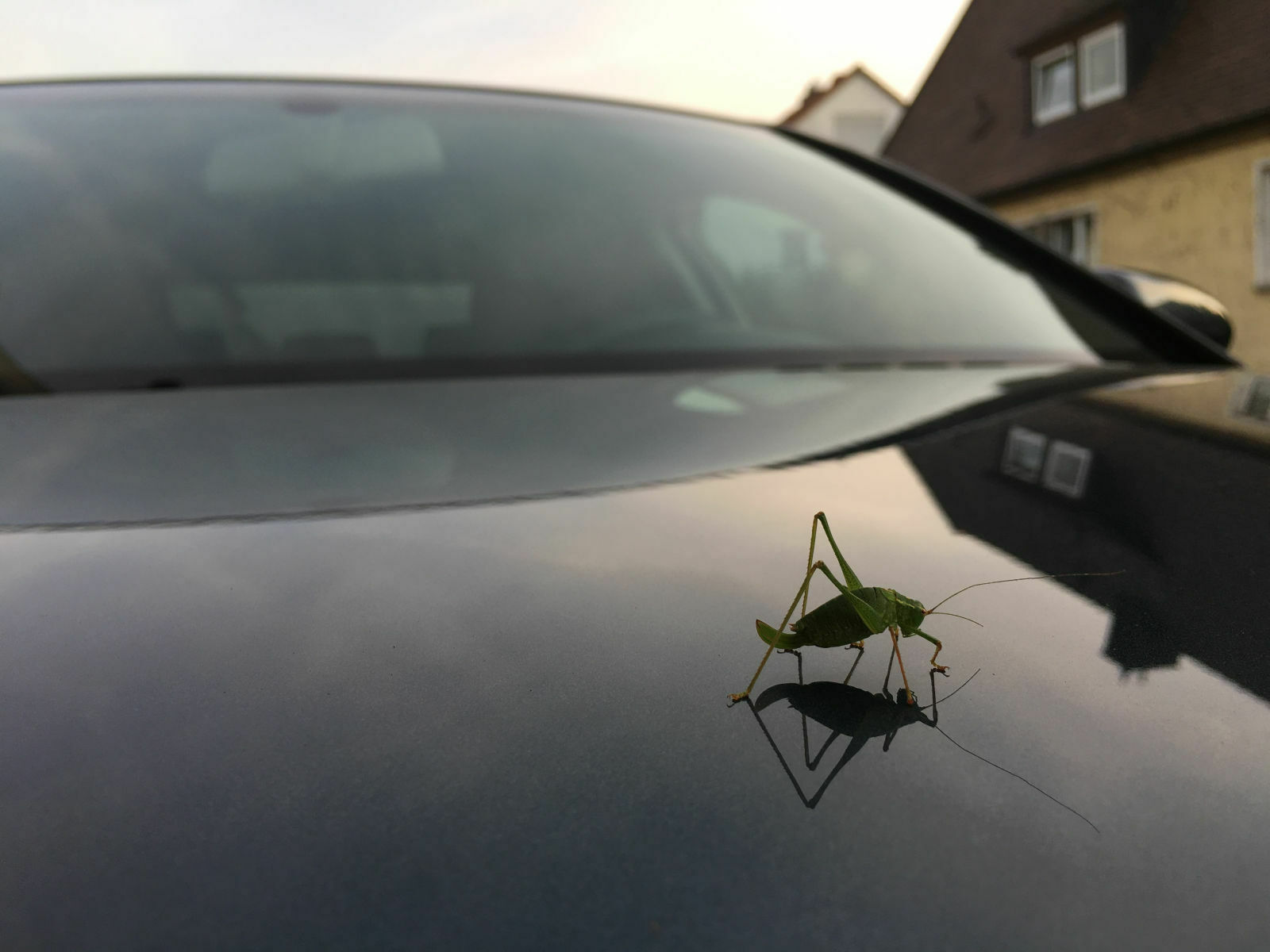 694ebf77-333f-4f69-8d6d-82376f95d98d