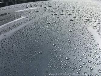 Rapidwaxx auf dem Dach