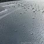 Rapidwaxx auf dem Dach