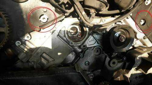 43082424-2024977877545218-8533976352158646272-n