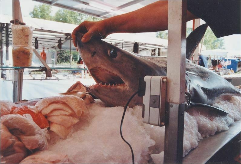 Toms Diskusions - Ecke