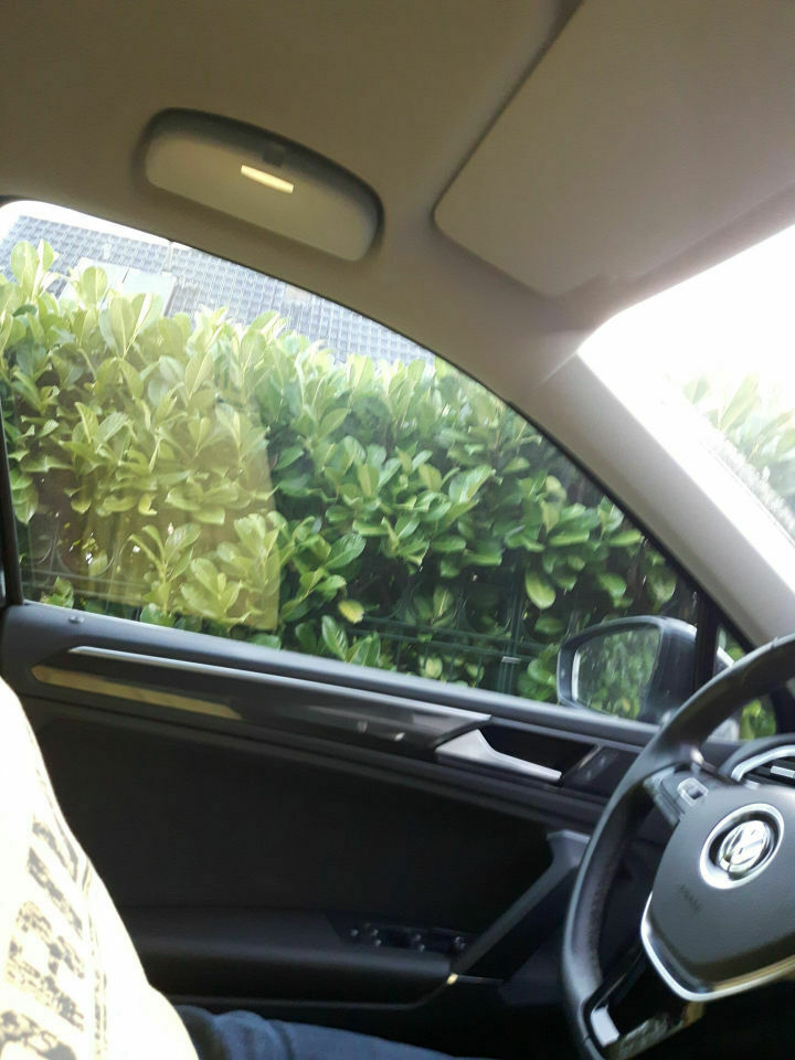 Tiguan 2 - Zubehör & Infos